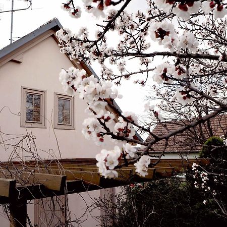 Ubytovani U Krizu Bulhary Extérieur photo