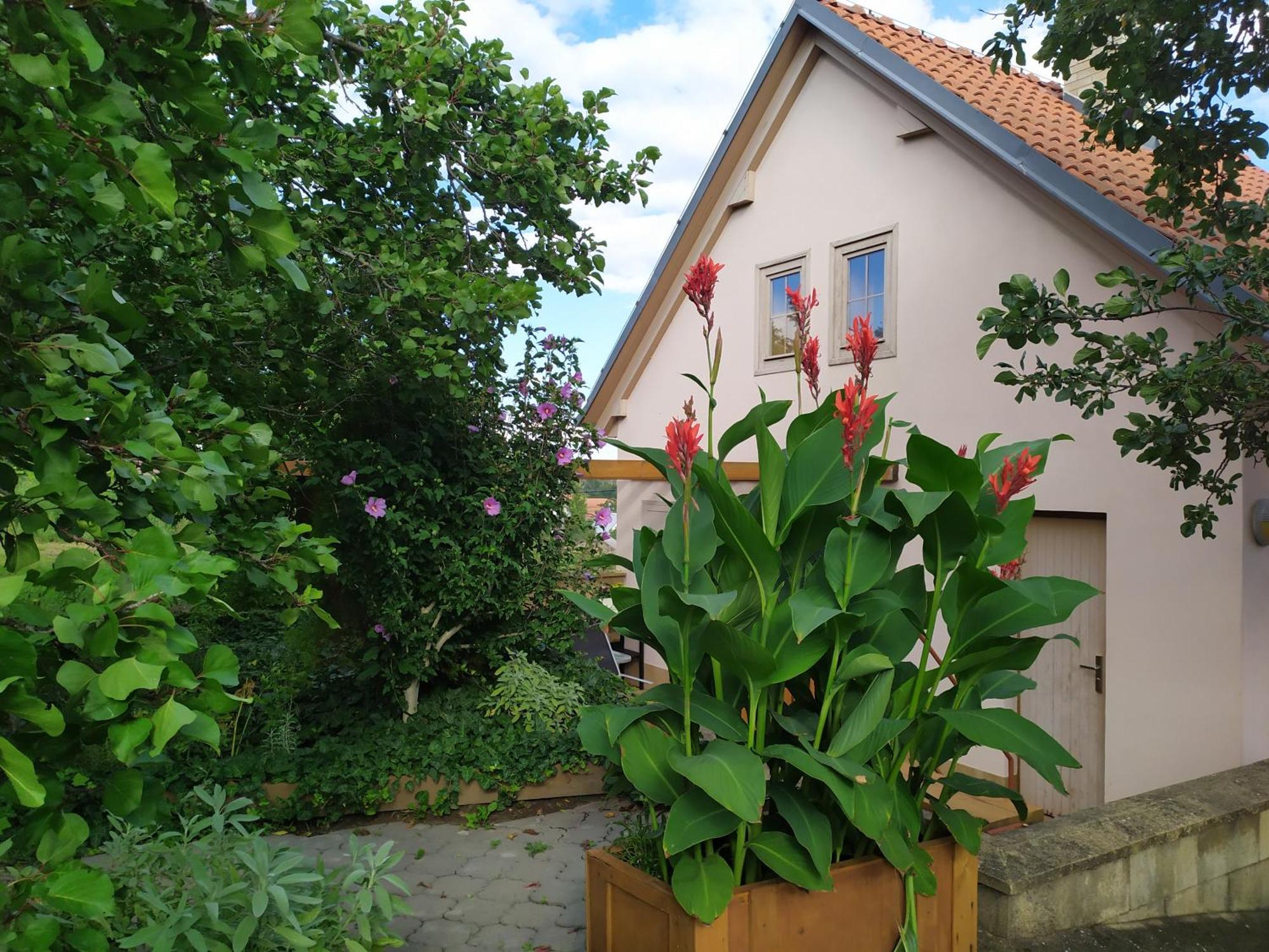 Ubytovani U Krizu Bulhary Extérieur photo