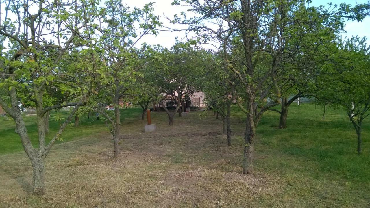 Ubytovani U Krizu Bulhary Extérieur photo