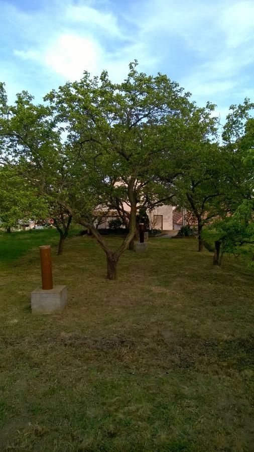 Ubytovani U Krizu Bulhary Extérieur photo